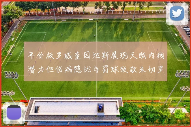 平价版罗威奎因坦斯展现天赋内线潜力但伤病隐忧与罚球致敬米切罗